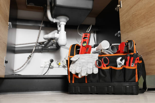 Best Plumbing Inspection Services  in De Kal, TX